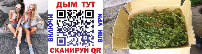Где можно купить наркотики Городовиковск Марихуана APVP ГАШ Меф мяу мяу Кокаин