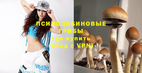 PSILOCYBIN Баксан