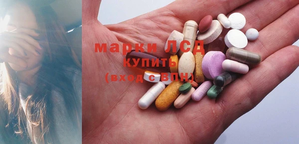 PSILOCYBIN Баксан