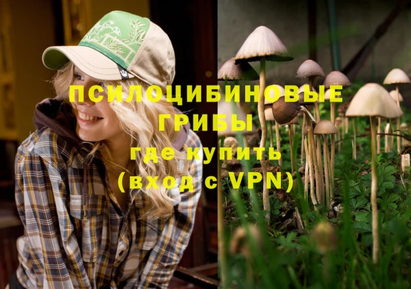 PSILOCYBIN Баксан