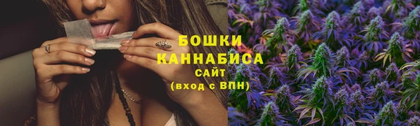 PSILOCYBIN Баксан