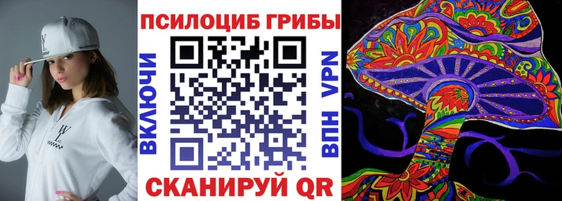 Псилоцибиновые грибы мицелий  Городовиковск 