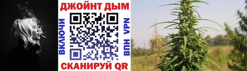 Каннабис конопля  продажа наркотиков  Городовиковск 